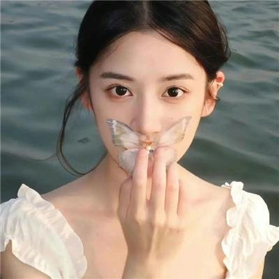 我的小山雀